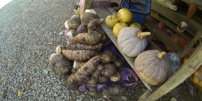 The bounties of fall in Laos.